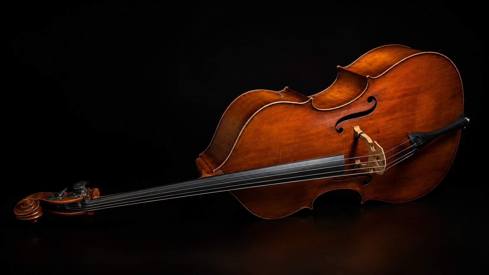 Double Bass in the ThirdTone acoustic archive